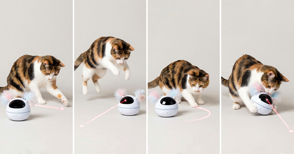 Laser Tatze bietet endlose Bewegung und Spielfreude