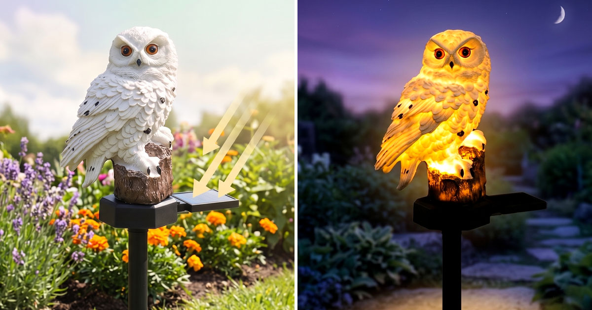 ☀️ Solarbetrieben – einfach und unkompliziert