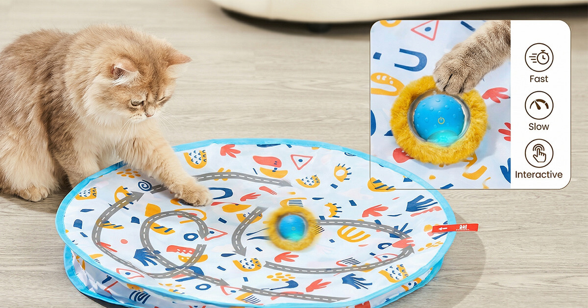 Berührungsaktivierte Bewegung Hält Ihre Katze Länger bei der Sache