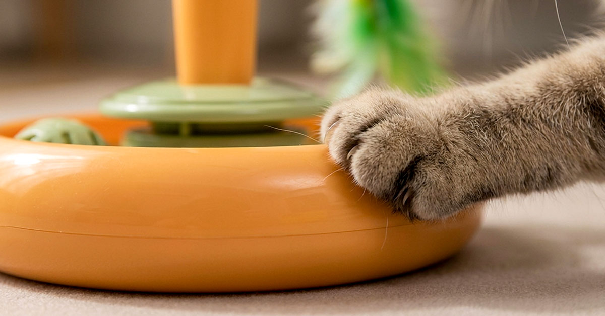 Abgerundete Kanten schützen neugierige Pfoten.